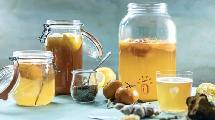 Cách Làm Kombucha Trái Cây Tại Nhà: Hướng Dẫn Chi Tiết Từ A-Z Cách Làm Kombucha Trái Cây Tại Nhà: Hướng Dẫn Chi Tiết Từ A-Z