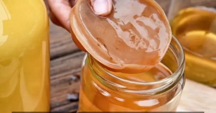 Cách Làm Kombucha Trái Cây Tại Nhà: Hướng Dẫn Chi Tiết Từ A-Z Cách Làm Kombucha Trái Cây Tại Nhà: Hướng Dẫn Chi Tiết Từ A-Z
