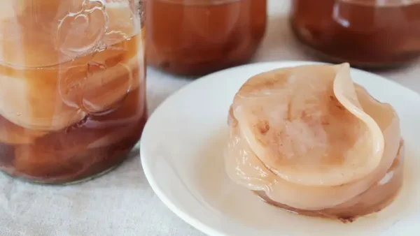 Cách Làm Kombucha Trái Cây Tại Nhà: Hướng Dẫn Chi Tiết Từ A-Z