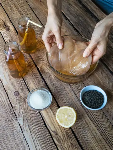 Cách Làm Kombucha Trái Cây Tại Nhà: Hướng Dẫn Chi Tiết Từ A-Z Cách Làm Kombucha Trái Cây Tại Nhà: Hướng Dẫn Chi Tiết Từ A-Z