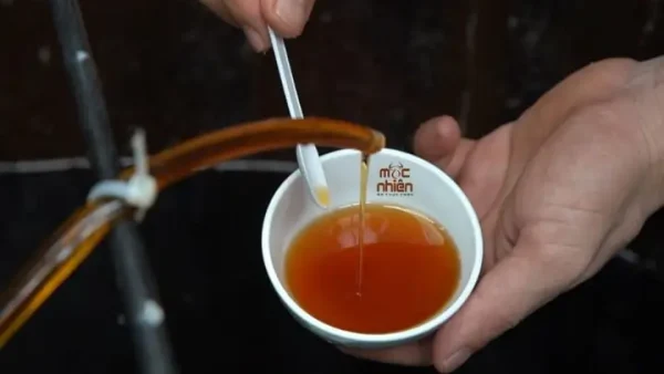 Cách Làm Mắm Đậu Chay Đơn Giản, Thơm Ngon Chuẩn Vị Tại Nhà