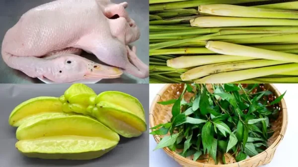 Cách Làm Ngan Tái Chanh Ngon Mềm, Thơm Lừng, Không Hôi Chuẩn Vị Bắc
