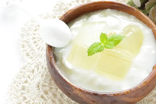 Hướng Dẫn Chi Tiết Cách Làm Sữa Chua Nha Đam Giòn Ngọt Tại Nhà Hướng Dẫn Chi Tiết Cách Làm Sữa Chua Nha Đam Giòn Ngọt Tại Nhà