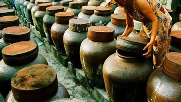 Cách Làm Nước Mắm Cá Cơm Tại Nhà: Bí Quyết Vàng Óng, Thơm Lừng Chuẩn Vị Biển