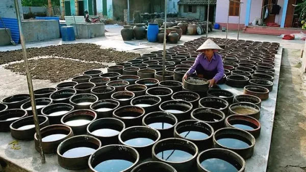 Hướng Dẫn Làm Nước Mắm Cá Rô Phi Chuẩn Vị Tại Nhà Thơm Ngon Đậm Đà