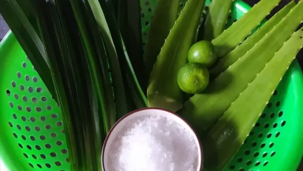 Cách Làm Nước Nha Đam Đường Trắng Giòn Ngon, Hết Nhớt Đắng Tại Nhà