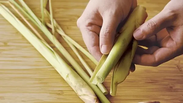 Cách Làm Sạch Dạ Dày Bò Trắng Sạch, Không Hôi Và Mềm Ngon Tại Nhà