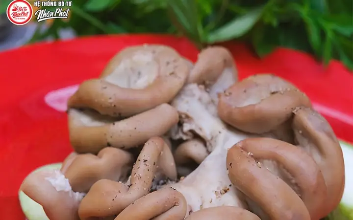 Cách Làm Sạch Lòng Bò: Sơ Chế Không Hôi, Dai Giòn Hiệu Quả Tại Nhà