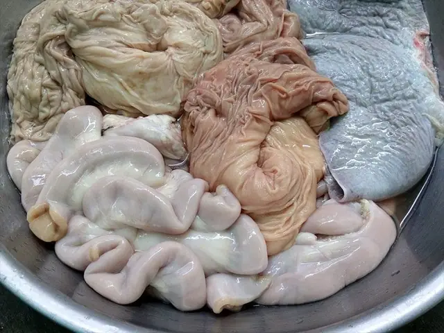 Cách Làm Sạch Lòng Bò: Sơ Chế Không Hôi, Dai Giòn Hiệu Quả Tại Nhà