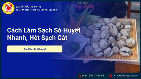 Cách Làm Sạch Sò Huyết Nhanh Chóng, Đảm Bảo Hết Cát Và Giữ Trọn Vị Ngon