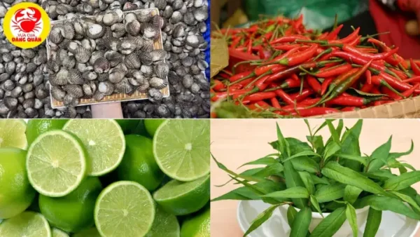 Cách Làm Sò Huyết Lacoste Chuẩn Vị Tại Nhà: Hướng Dẫn Chi Tiết Từ Sơ Chế Đến Chấm