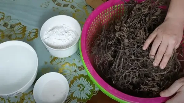Cách Làm Sương Sáo Từ Lá Tươi: Dẻo Dai, Thanh Mát Tại Nhà