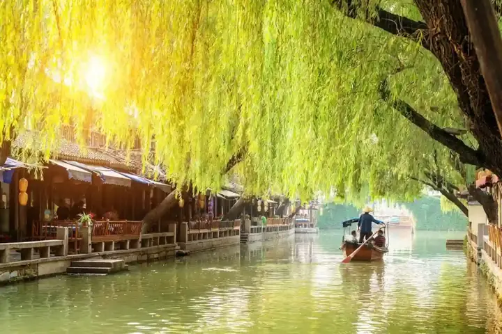 Cách Làm Thịt Rùa Nhanh Nhất: Sơ Chế Đúng Cách Và Món Ngon Dễ Thực Hiện Cách Làm Thịt Rùa Nhanh Nhất: Sơ Chế Đúng Cách Và Món Ngon Dễ Thực Hiện