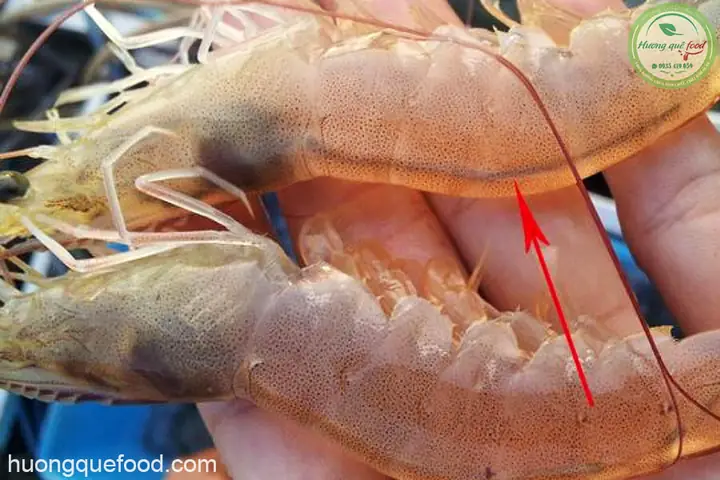 Cách Làm Tôm Muối Chua Ngon Chuẩn Vị Miền Tây Tại Nhà Cách Làm Tôm Muối Chua Ngon Chuẩn Vị Miền Tây Tại Nhà