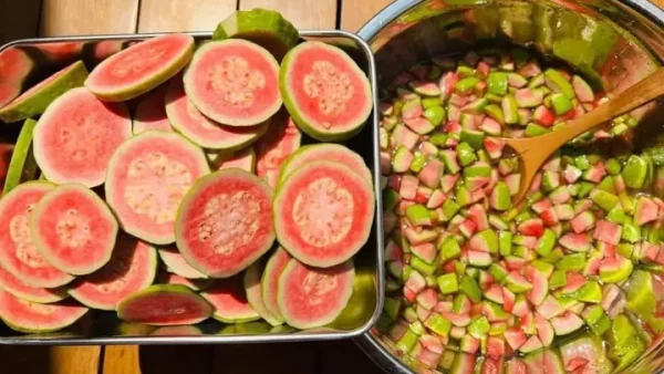Hướng Dẫn Chi Tiết Cách Làm Trà Ổi Hồng Thơm Ngon Tại Nhà