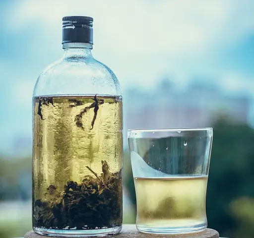 Cách Làm Trà Ủ Lạnh Ngon, Ít Đắng Và Giữ Trọn Hương Vị Cách Làm Trà Ủ Lạnh Ngon, Ít Đắng Và Giữ Trọn Hương Vị