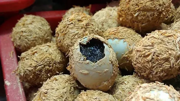 Hướng Dẫn Chi Tiết Cách Làm Trứng Vịt Bắc Thảo Thơm Ngon Tại Nhà