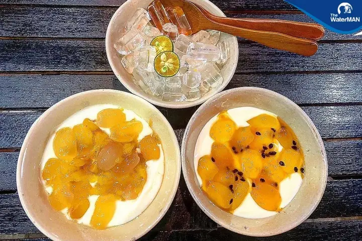 Cách Làm Sữa Chua Hạt Đác Ngon Mát Lạnh Tại Nhà Chuẩn Vị Cách Làm Sữa Chua Hạt Đác Ngon Mát Lạnh Tại Nhà Chuẩn Vị
