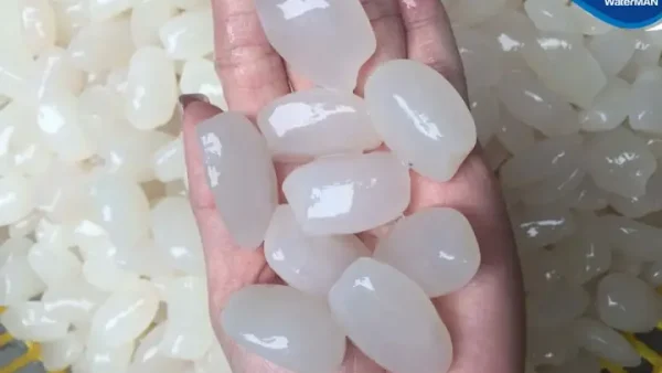 Cách Làm Sữa Chua Hạt Đác Ngon Mát Lạnh Tại Nhà Chuẩn Vị