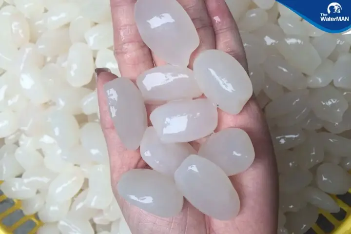 Cách Làm Sữa Chua Hạt Đác Ngon Mát Lạnh Tại Nhà Chuẩn Vị Cách Làm Sữa Chua Hạt Đác Ngon Mát Lạnh Tại Nhà Chuẩn Vị