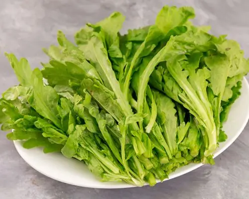 Cách Lặt Rau Cải Cúc: Hướng Dẫn Chi Tiết Từ A-Z Cho Người Mới Bắt Đầu