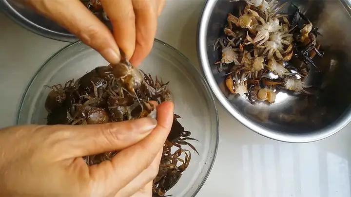 Cách Lấy Thịt Cua Đồng Sạch Từ Mai, Thân Và Càng, Tách Gạch Riêng Cách Lấy Thịt Cua Đồng Sạch Từ Mai, Thân Và Càng, Tách Gạch Riêng