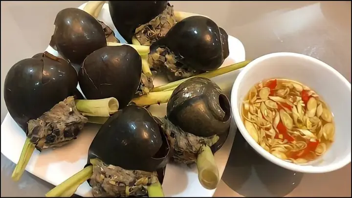 Cách Luộc Ốc Nhồi Ngon, Giòn Dai Chuẩn Vị Như Ngoài Hàng Cách Luộc Ốc Nhồi Ngon, Giòn Dai Chuẩn Vị Như Ngoài Hàng