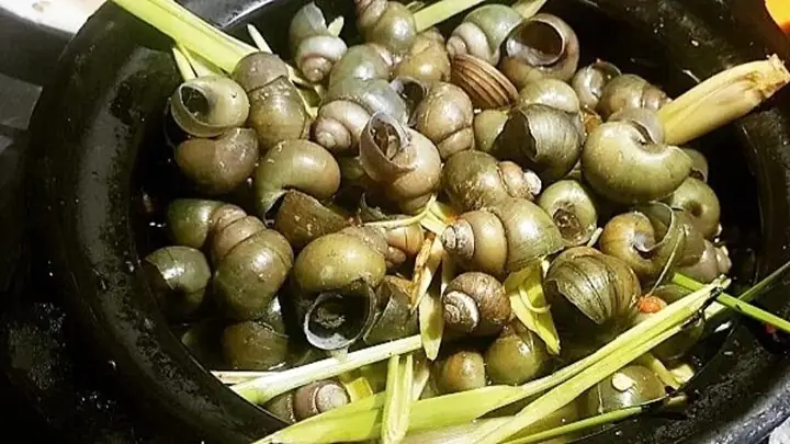 Cách Luộc Ốc Nhồi Ngon, Giòn Dai Chuẩn Vị Như Ngoài Hàng Cách Luộc Ốc Nhồi Ngon, Giòn Dai Chuẩn Vị Như Ngoài Hàng