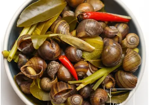 Cách Luộc Ốc Nhồi Ngon, Giòn Dai Chuẩn Vị Như Ngoài Hàng