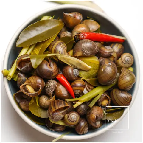 Cách Luộc Ốc Nhồi Ngon, Giòn Dai Chuẩn Vị Như Ngoài Hàng Cách Luộc Ốc Nhồi Ngon, Giòn Dai Chuẩn Vị Như Ngoài Hàng