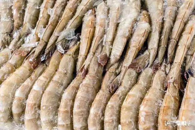 Cách Luộc Tôm Đông Lạnh Ngon Mềm, Không Bị Bở Như Tôm Tươi Cách Luộc Tôm Đông Lạnh Ngon Mềm, Không Bị Bở Như Tôm Tươi