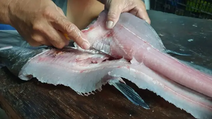 Cách Nạo Cá Thác Lác Chuẩn Chỉnh Để Làm Chả Dai Ngon
