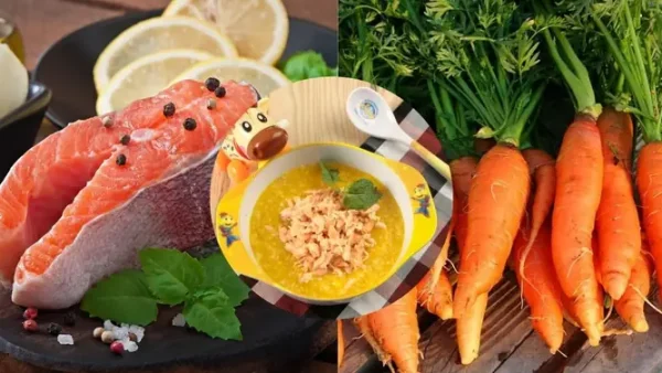 Cách Nấu Cháo Cá Hồi Cà Rốt Cho Bé Ăn Dặm Thơm Ngon, Bổ Dưỡng