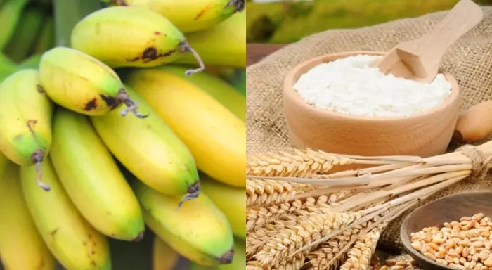 Cách Nấu Cơm Dừa Câu Cá Tra: Bí Quyết Mồi Câu Hiệu Quả Nhất