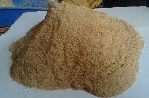 Cách Nấu Cơm Dừa Câu Cá Tra: Bí Quyết Mồi Câu Hiệu Quả Nhất