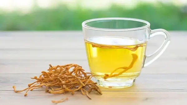 10 Cách Chế Biến Đông Trùng Hạ Thảo Khô Hiệu Quả Và Bổ Dưỡng