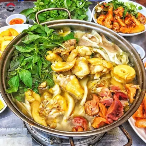 Cách Nấu Lẩu Gà Lá É Chuẩn Vị Đà Lạt Thơm Ngon Tại Nhà Cách Nấu Lẩu Gà Lá É Chuẩn Vị Đà Lạt Thơm Ngon Tại Nhà