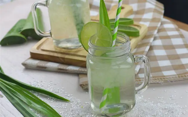 Cách Nấu Nha Đam Đường Phèn Ngon Chuẩn Vị, Không Bị Đắng & Nhớt Cách Nấu Nha Đam Đường Phèn Ngon Chuẩn Vị, Không Bị Đắng & Nhớt
