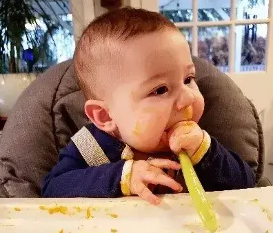 Cách Nấu Rắn Với Gà: Món Hầm Đậm Đà, Thơm Ngon Tại Nhà