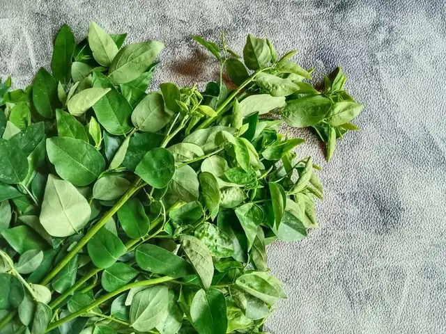 Cách Nấu Rau Củ Quả Cho Bé Ăn Dặm Đúng Cách: Từ Chế Biến, Mix Món Đến Thực Đơn Theo Tháng Tuổi Cách Nấu Rau Củ Quả Cho Bé Ăn Dặm Đúng Cách: Từ Chế Biến, Mix Món Đến Thực Đơn Theo Tháng Tuổi