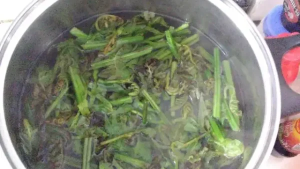 Cách Nấu Rau Dớn Xào Tỏi Phi Thơm Ngon, Rau Xanh Giòn Không Bị Nhớt