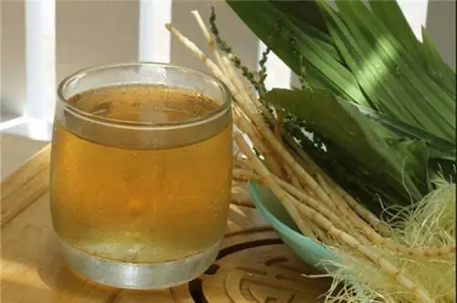 Cách Nấu Rau Mã Đề Ngon, Đúng Cách: 4 Công Thức Canh & Nước Uống Mát Gan, Lợi Tiểu, Hỗ Trợ Đường Huyết Cách Nấu Rau Mã Đề Ngon, Đúng Cách: 4 Công Thức Canh & Nước Uống Mát Gan, Lợi Tiểu, Hỗ Trợ Đường Huyết