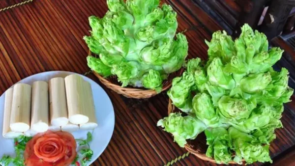 Cách Nấu Rau Mầm Đá Ngon, Giòn Với 3 Món Dễ Làm