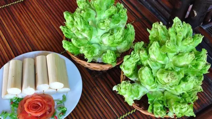 Cách Nấu Rau Mầm Đá Ngon, Giòn Với 3 Món Dễ Làm Cách Nấu Rau Mầm Đá Ngon, Giòn Với 3 Món Dễ Làm