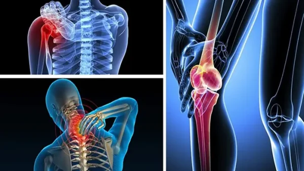 Cách Nấu Rau Sâm Đất: Canh Tôm Và Xào Tỏi Dễ Làm Tại Nhà