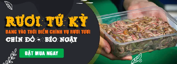 Cách Nấu Riêu Rươi Ngon Nhất: Công Thức Đậm Đà, Không Tanh Cách Nấu Riêu Rươi Ngon Nhất: Công Thức Đậm Đà, Không Tanh