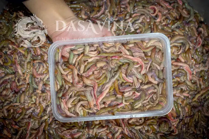 Cách Nấu Canh Rươi Rau Cải Tại Nhà: Thơm Ngon, Không Tanh Cách Nấu Canh Rươi Rau Cải Tại Nhà: Thơm Ngon, Không Tanh