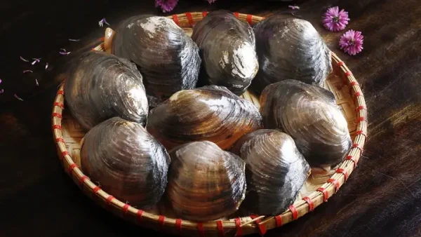 Cách Nấu Canh Riêu Trai Dọc Mùng Chua Thanh, Ngọt Dịu Dễ Làm