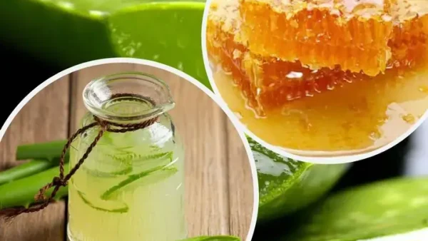 Cách Nấu Sâm Nha Đam Tại Nhà: Nha Đam, Lá Dứa Và Đường Phèn