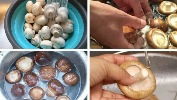 Cách Nấu Súp Cua Nấm Thơm Ngon, Sánh Dịu Tại Nhà